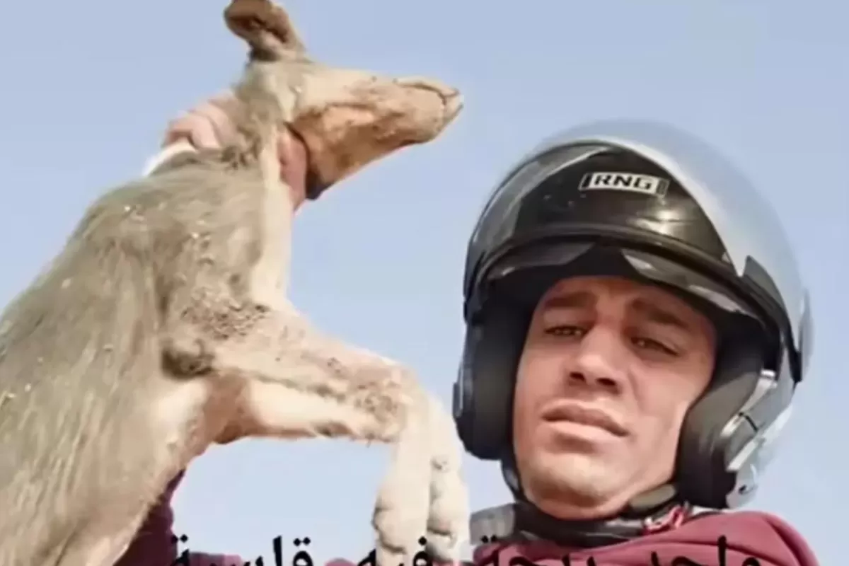 VIDEO | Horror en las redes: detuvieron a un influencer tras grabarse descuartizando y comiendo un perro