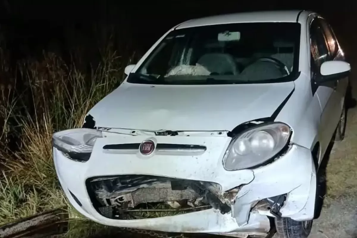 Ruta 88: se detuvo a ayudar tras el choque de un auto con un carpincho y muri&oacute; atropellado