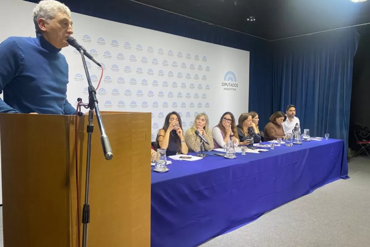El peronismo sali&oacute; a defender la Zona Fr&iacute;a y busca frenar en el Senado el avance del ajuste de Milei