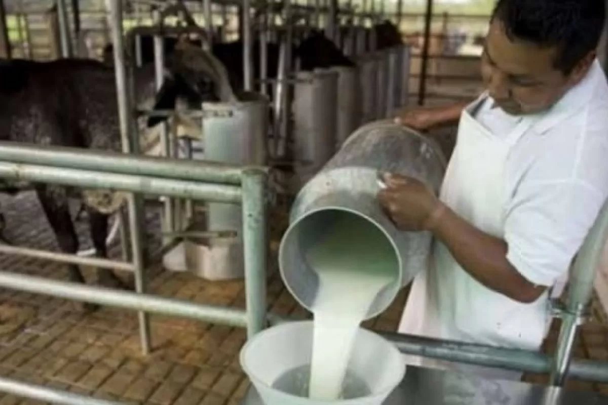 Trabajadores de La Suipachense mantienen un acampe para exigir la reactivaci&oacute;n de la planta cerrada