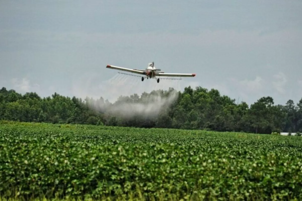 La Justicia absolvi&oacute; a productores por fumigaciones en Pergamino y conden&oacute; a exfuncionarios municipales