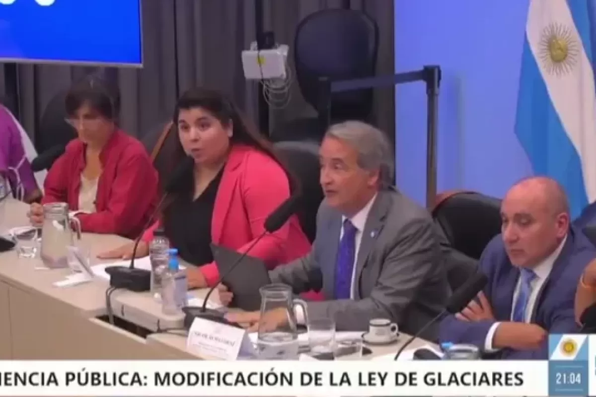 VIDEO | &iexcl;Sacad&iacute;sima! Una periodista, a los gritos en el plenario por la Ley de Glaciares en el Congreso
