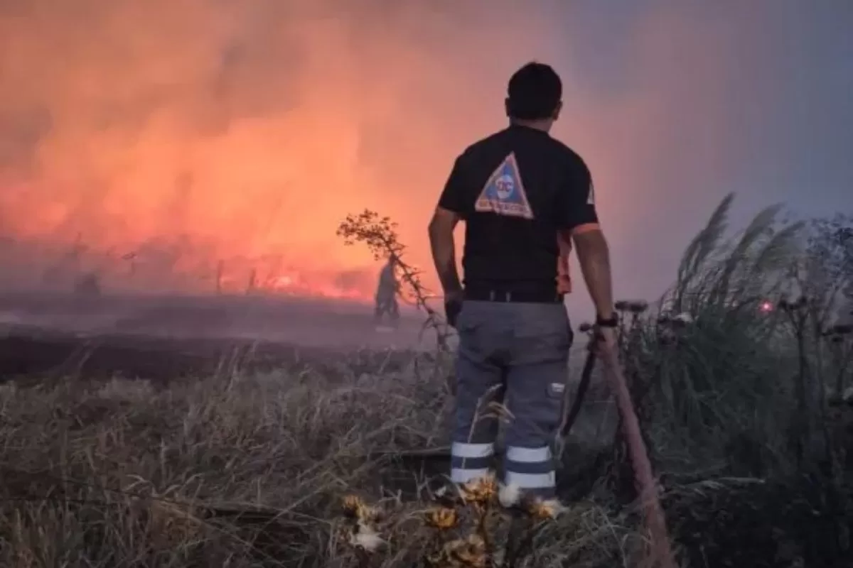 Incendios forestales arrasaron con 250 hect&aacute;reas y encendieron la alarma en Mar del Plata