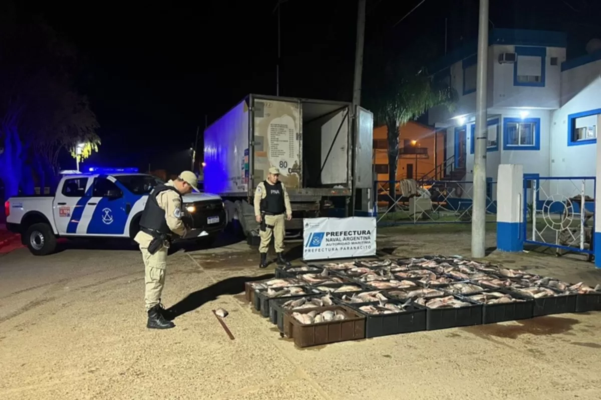 Decomisaron más de una tonelada de pescados valuados en cinco millones de pesos