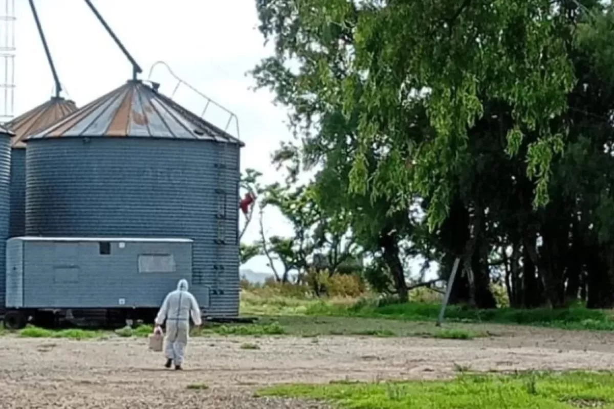 Hantavirus: una nena de 10 a&ntilde;os muri&oacute; en General Belgrano y ya son cuatro los fallecidos en la provincia en 2026