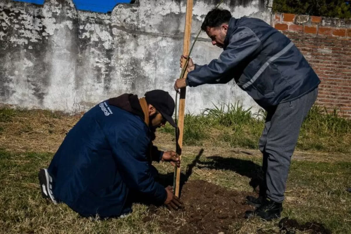 Se plantaron más de 200 árboles por el aniversario de Paraná