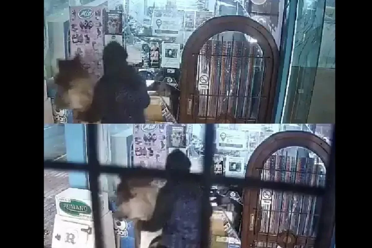 VIDEO | Ins&oacute;lito robo en General Alvarado: delincuentes llegaron a caballo y asaltaron un maxikiosco