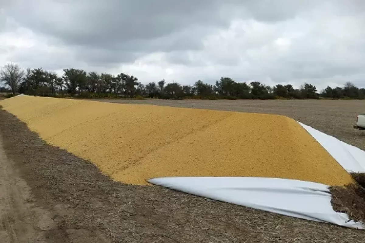 Entidades rurales presentaron un proyecto de ley para penar con hasta cinco a&ntilde;os de c&aacute;rcel a quienes rompan silobolsas