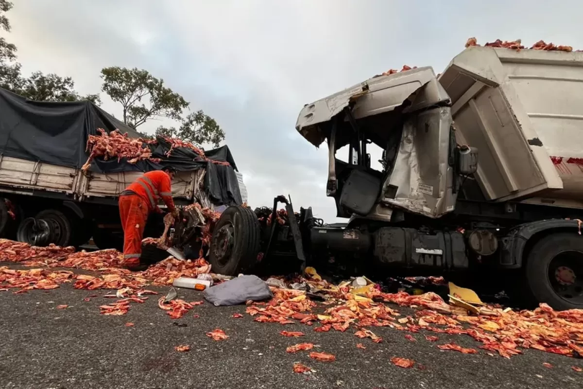Choques en cadena entre camiones y un micro dejaron un muerto en la Ruta 9 a la altura de Baradero