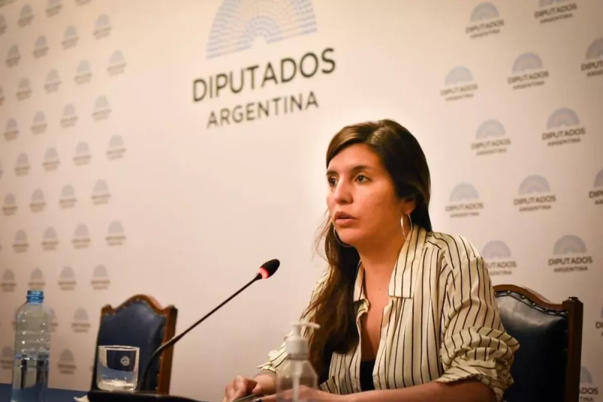 VIDEO | Congreso: la ministra de Ambiente bonaerense denunci&oacute; censura y apunt&oacute; contra el Gobierno por la ley de glaciares