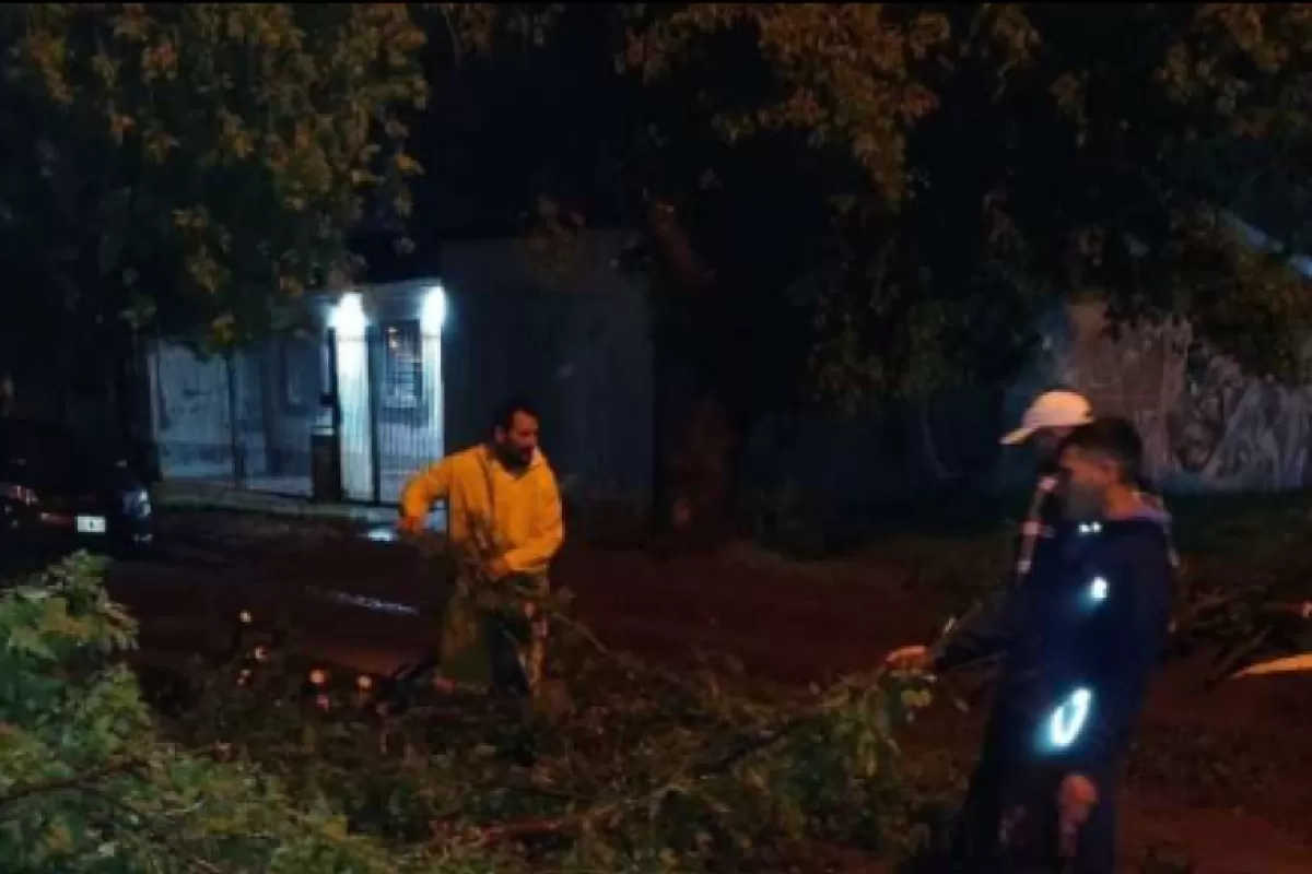 VIDEO | Vientos de hasta 90 kilómetros por hora dejaron destrozos, cortes de luz y evacuados en Junín y la región