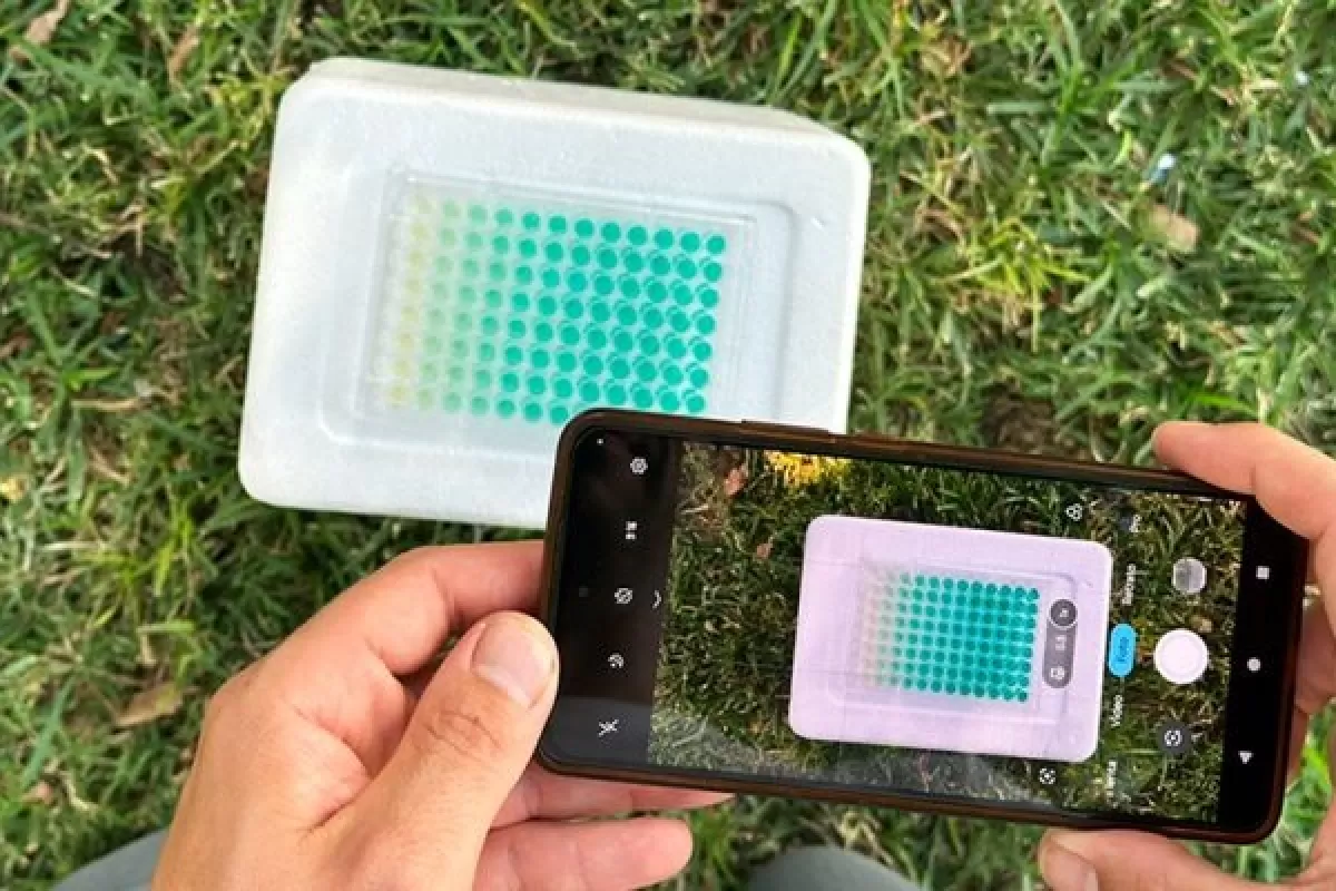 El CONICET y la UBA desarrollaron un m&eacute;todo con celulares para medir fosfato de forma r&aacute;pida y precisa