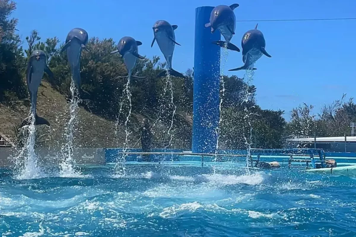Quebr&oacute; el ex Aquarium de Mar del Plata y 66 animales quedaron atrapados en un limbo judicial