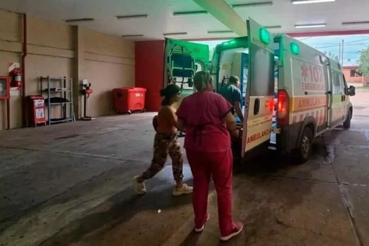 Misiones: un nene de 7 a&ntilde;os sufri&oacute; graves heridas tras ser atacado por una jaur&iacute;a