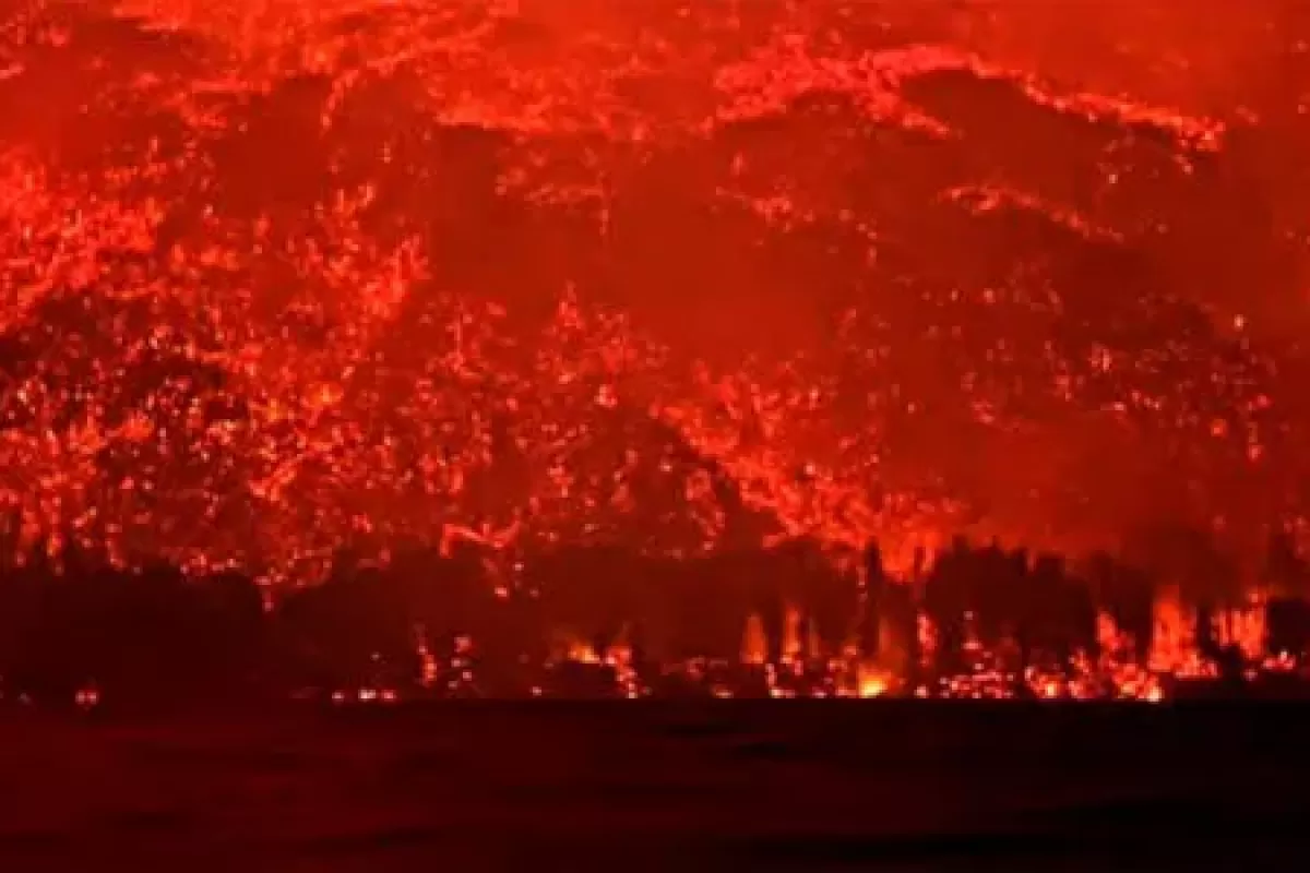 Enterate cu&aacute;les son los municipios bonaerenses que est&aacute;n enviando ayuda para los incendios en la Patagonia