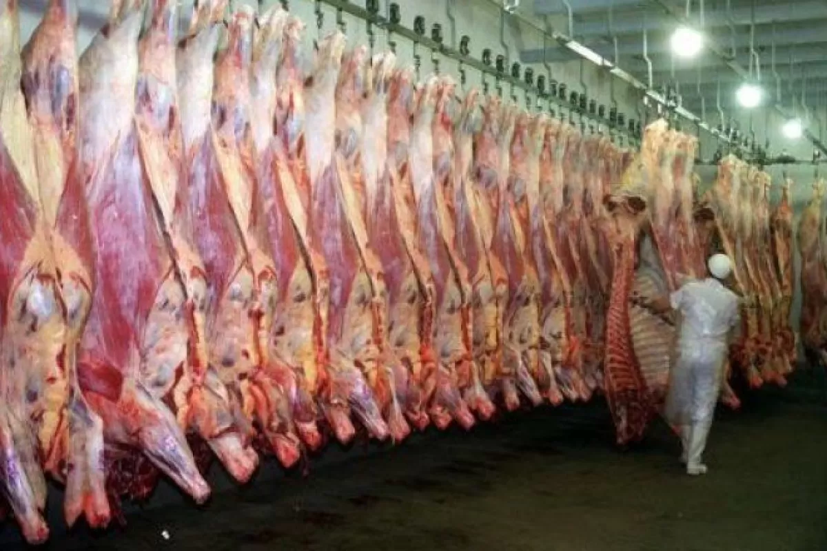 Mor&oacute;n: acordaron reabrir el frigor&iacute;fico Ganadera San Roque y se preservar&aacute;n 140 puestos de trabajo