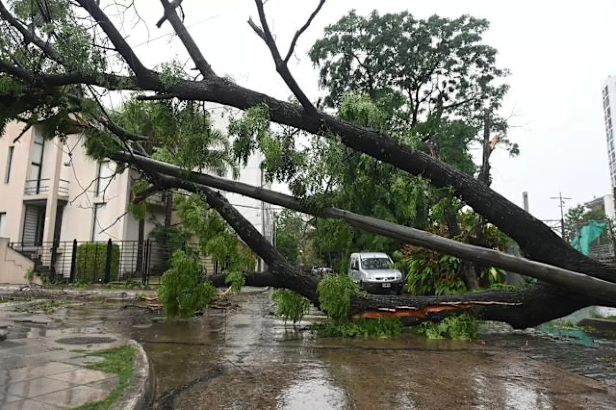 Lluvias torrenciales causaron evacuaciones y destrozos en distintos puntos de la provincia