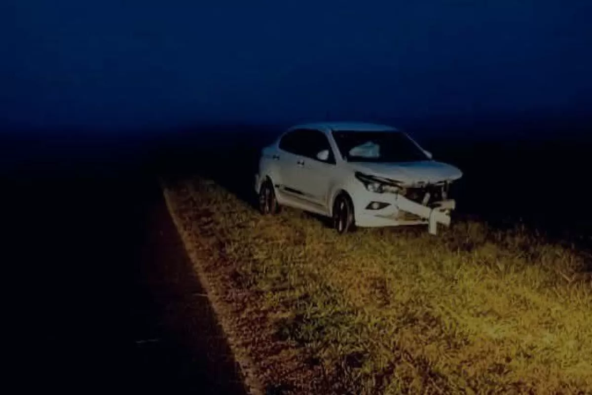 Coronel Su&aacute;rez: un conductor choc&oacute; contra un animal suelto en la Ruta 85 y salv&oacute; su vida de milagro