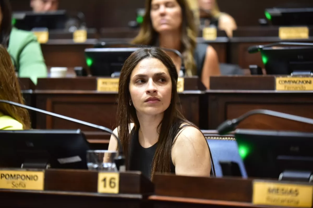 VIDEO | Una diputada libertaria trat&oacute; de &ldquo;pelotudez&rdquo; un informe de la Comisi&oacute;n Provincial por la Memoria y desat&oacute; el repudio