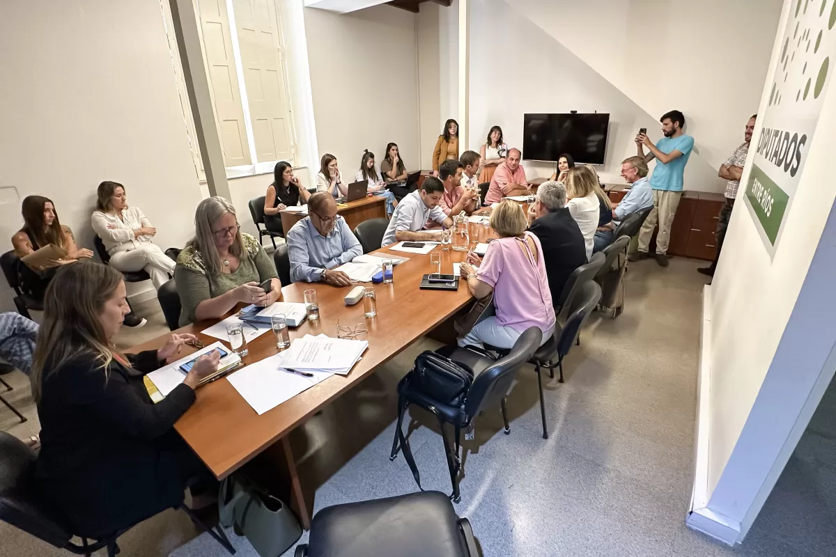 Retomaron el tratamiento de la regulación de las apuestas en línea