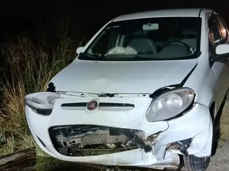 Ruta 88: se detuvo a ayudar tras el choque de un auto con un carpincho y muri&oacute; atropellado