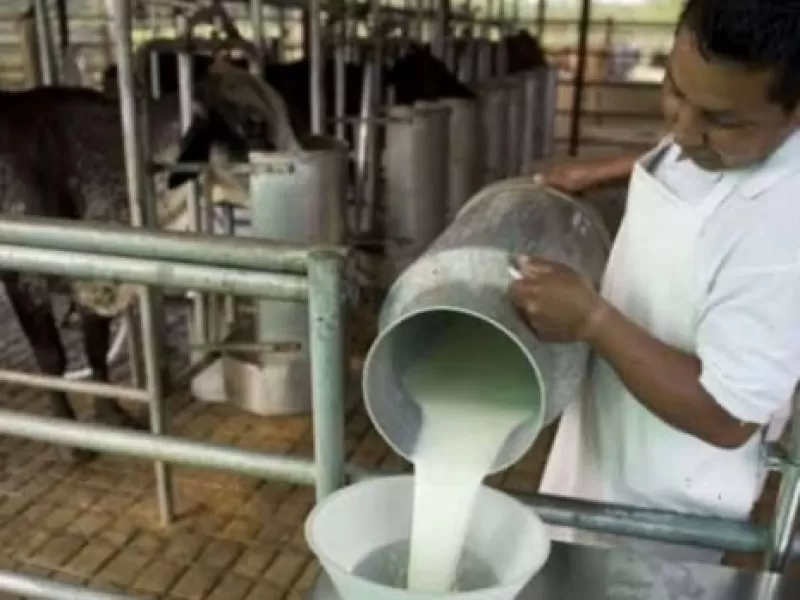 Trabajadores de La Suipachense mantienen un acampe para exigir la reactivaci&oacute;n de la planta cerrada