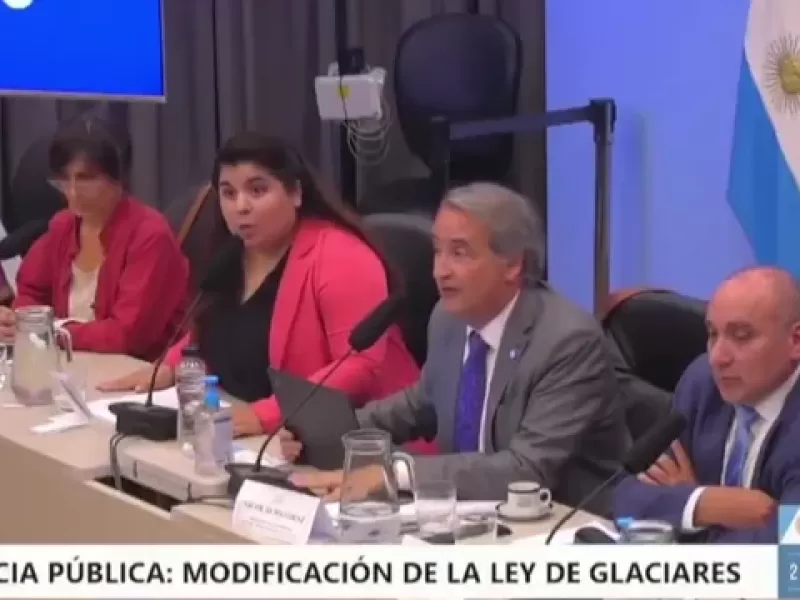 VIDEO | &iexcl;Sacad&iacute;sima! Una periodista, a los gritos en el plenario por la Ley de Glaciares en el Congreso
