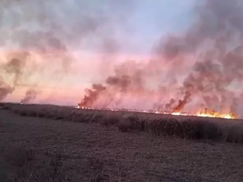 Entre R&iacute;os despliega un operativo para frenar los incendios en las islas frente a Ramallo y San Pedro