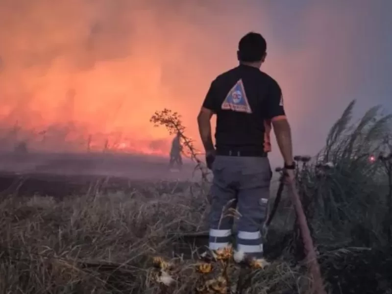 Incendios forestales arrasaron con 250 hect&aacute;reas y encendieron la alarma en Mar del Plata