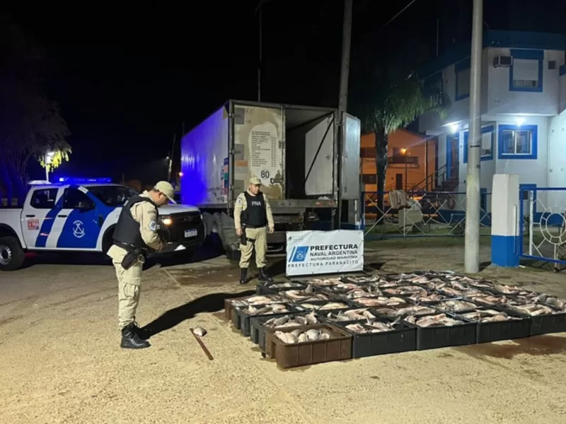 Decomisaron más de una tonelada de pescados valuados en cinco millones de pesos