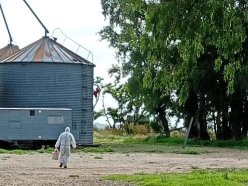 Hantavirus: una nena de 10 a&ntilde;os muri&oacute; en General Belgrano y ya son cuatro los fallecidos en la provincia en 2026