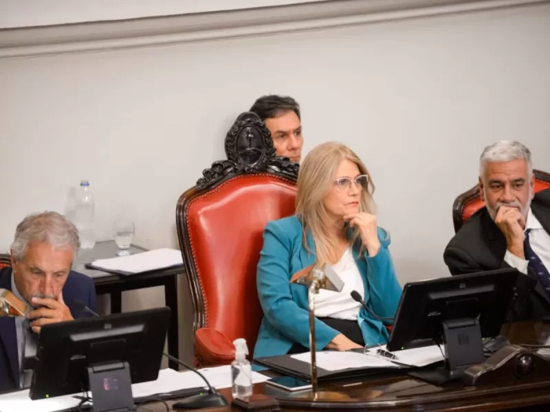 El kirchnerismo movi&oacute; primero y le marc&oacute; la cancha a Magario en el Senado