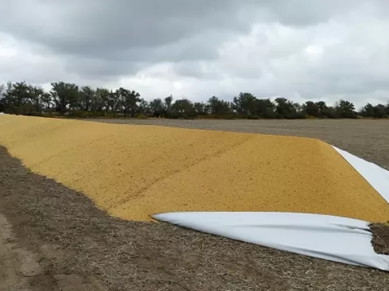 Entidades rurales presentaron un proyecto de ley para penar con hasta cinco a&ntilde;os de c&aacute;rcel a quienes rompan silobolsas