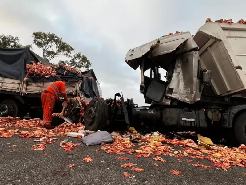 Choques en cadena entre camiones y un micro dejaron un muerto en la Ruta 9 a la altura de Baradero