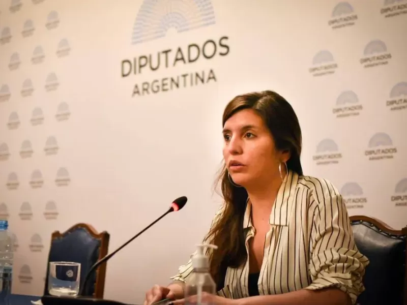 VIDEO | Congreso: la ministra de Ambiente bonaerense denunci&oacute; censura y apunt&oacute; contra el Gobierno por la ley de glaciares
