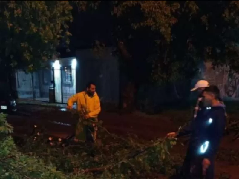 VIDEO | Vientos de hasta 90 kilómetros por hora dejaron destrozos, cortes de luz y evacuados en Junín y la región