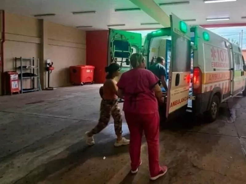 Misiones: un nene de 7 a&ntilde;os sufri&oacute; graves heridas tras ser atacado por una jaur&iacute;a