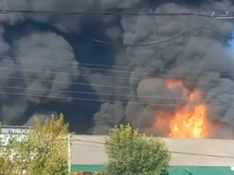 VIDEO | Voraz incendio en Moreno puso en alerta a toda una zona industrial