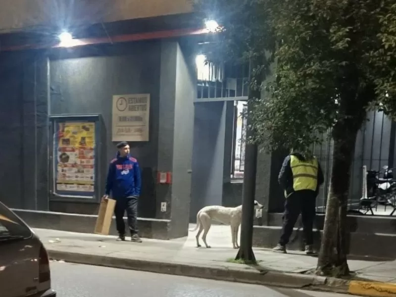 El Municipio de Rojas decomis&oacute; mercader&iacute;a a un vendedor ambulante de flores