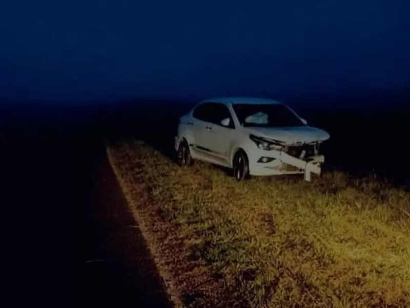 Coronel Su&aacute;rez: un conductor choc&oacute; contra un animal suelto en la Ruta 85 y salv&oacute; su vida de milagro
