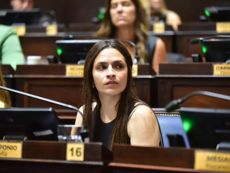 VIDEO | Una diputada libertaria trat&oacute; de &ldquo;pelotudez&rdquo; un informe de la Comisi&oacute;n Provincial por la Memoria y desat&oacute; el repudio