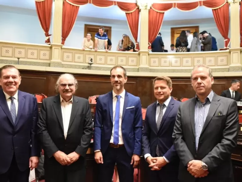 El PRO se fractur&oacute; antes de nacer y reconfigur&oacute; el mapa pol&iacute;tico en el Senado