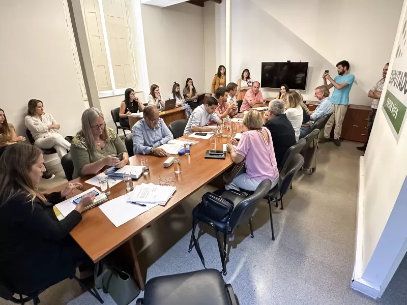 Retomaron el tratamiento de la regulación de las apuestas en línea