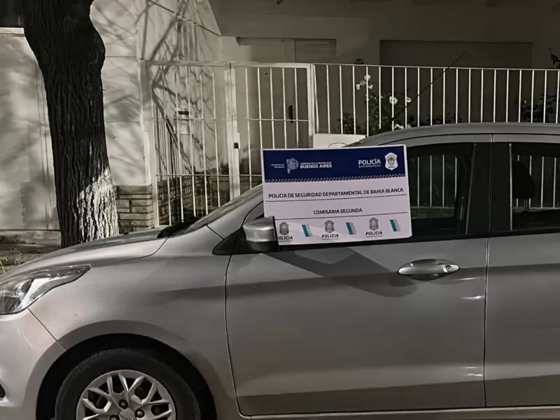 Cay&oacute; "Banana" tras el robo de un auto en el centro de Bah&iacute;a Blanca