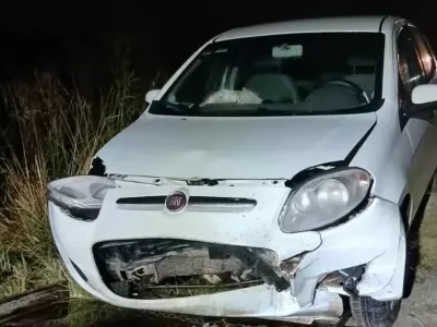 Ruta 88: se detuvo a ayudar tras el choque de un auto con un carpincho y muri&oacute; atropellado