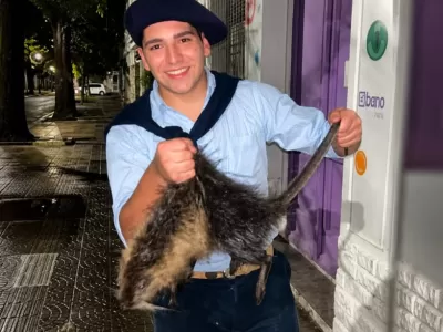 VIDEO | Crueldad animal: denuncian a dos j&oacute;venes por la muerte a patadas a un coipo en Bah&iacute;a Blanca