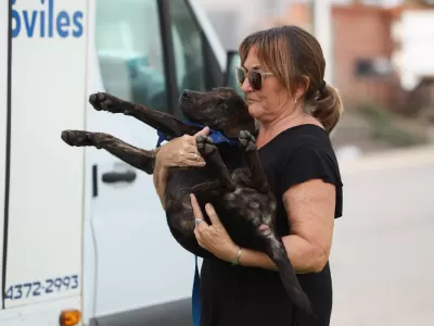 El m&oacute;vil de Zoonosis realiz&oacute; una nueva jornada de castraci&oacute;n en Col&oacute;n