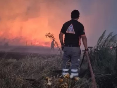Incendios forestales arrasaron con 250 hect&aacute;reas y encendieron la alarma en Mar del Plata