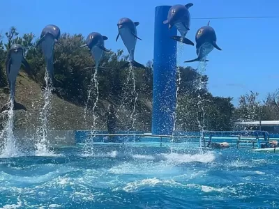 Quebr&oacute; el ex Aquarium de Mar del Plata y 66 animales quedaron atrapados en un limbo judicial